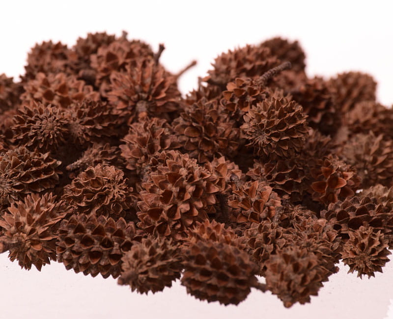 Casurina natura 20gram